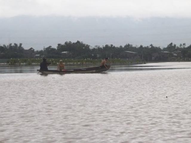 Tin tức trong ngày - Người đàn ông bị điện giật tử vong khi đưa heo chạy lũ