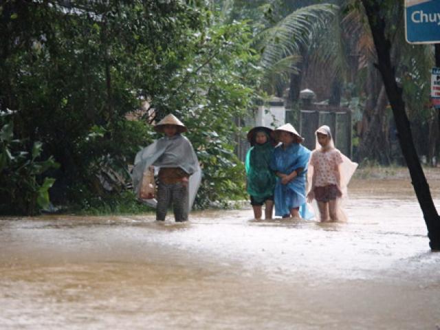 Tin tức trong ngày - Hứng chịu 5 trận lũ liên tiếp, Bình Định kêu gọi cứu trợ khẩn cấp