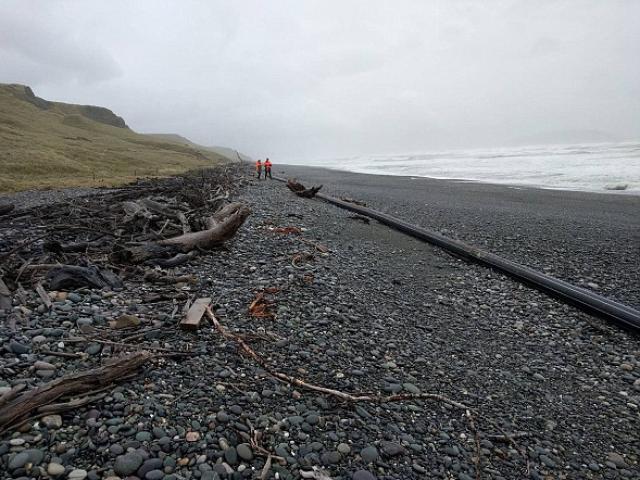 Vật thể bí ẩn màu đen dài 100m dạt bờ biển New Zealand