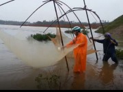 Tin tức trong ngày - Xem dân Đà Nẵng hưởng &quot;lộc trời&quot; mùa lũ