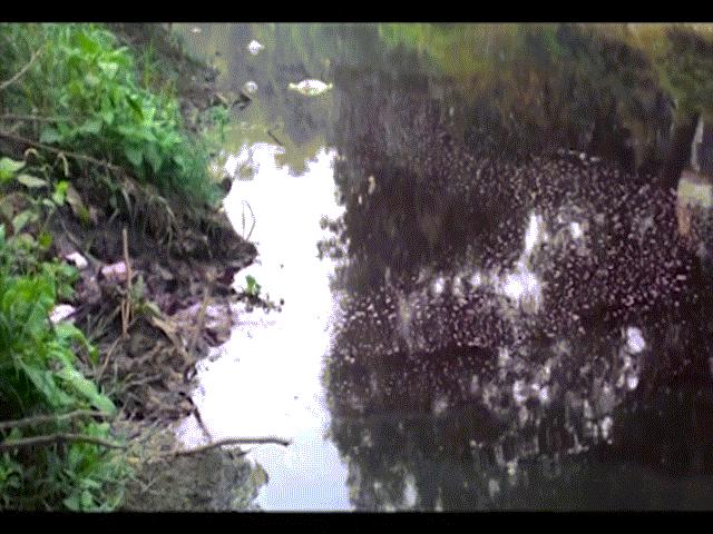 Tin tức trong ngày - Kỳ lạ dòng sông 2 màu đỏ - tím, cực thối ở Hà Nội