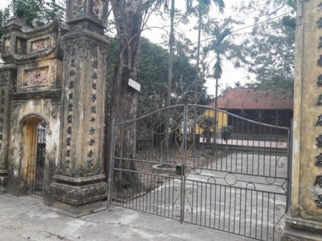 Tin tức trong ngày - Bất ngờ lộ hợp đồng mua "cụ" sưa 200 tuổi giá 49 tỷ