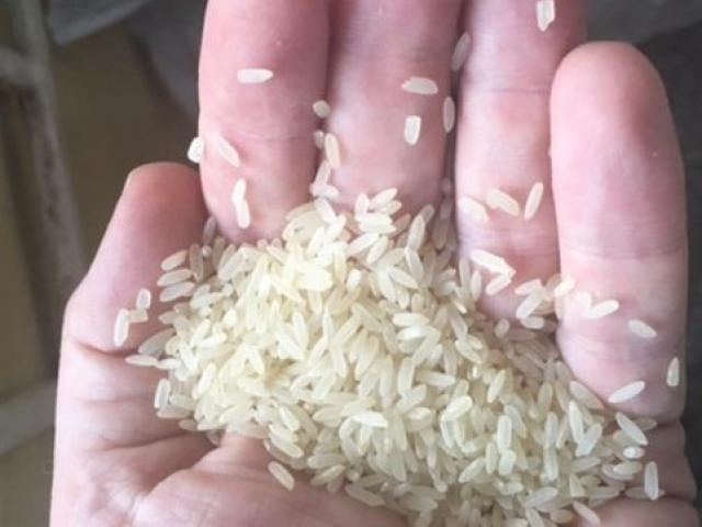 Thế giới - Phát hiện 2,5 tấn “gạo nhựa” ở Nigeria