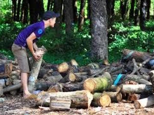 Thị trường - Tiêu dùng - Doanh nghiệp Trung Quốc ồ ạt mua gỗ cao su