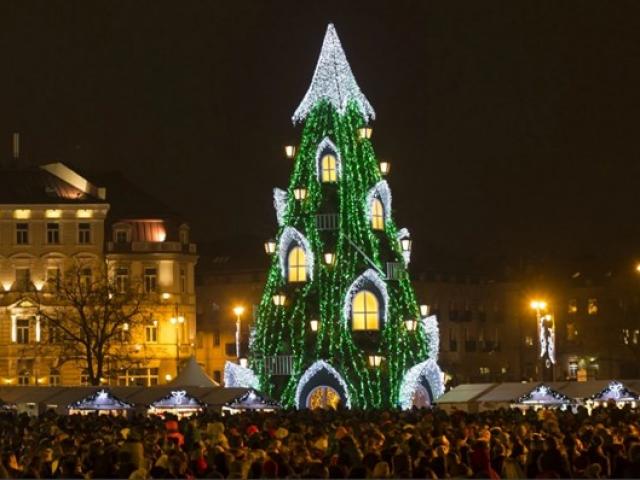 Noel: 11 cây thông đẹp và hoành tráng nhất thế giới | Du lịch