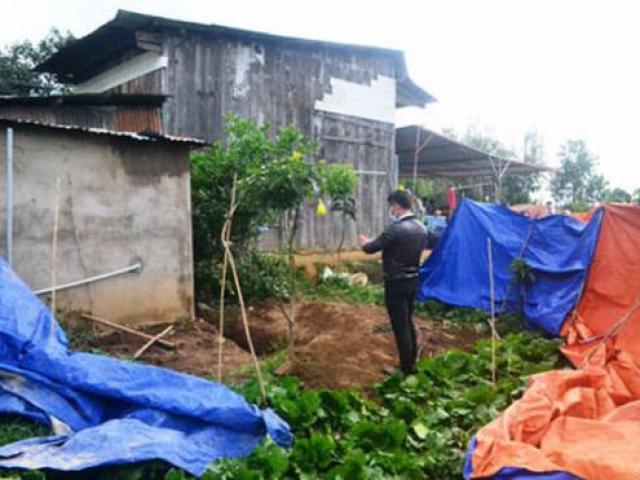 Pháp luật - Nghi án cháu giết bà, giấu xác sau vườn
