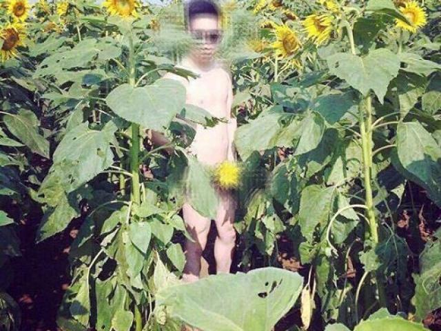 Bạn trẻ - Cuộc sống - Thanh niên chụp ảnh phản cảm ở cánh đồng hoa Nghệ An