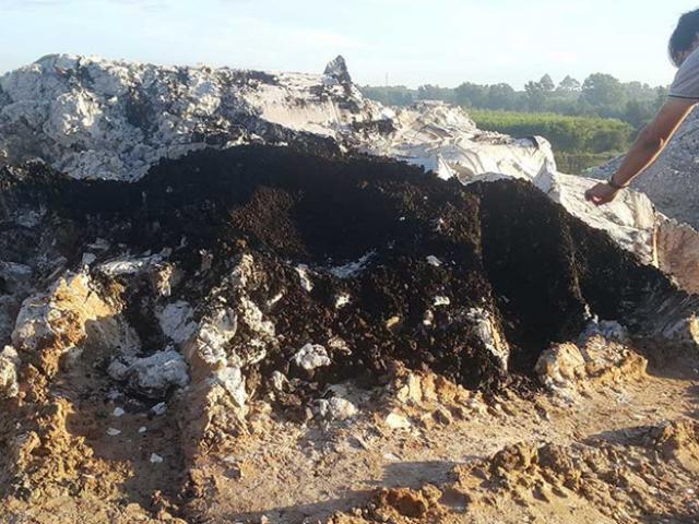 Tin tức trong ngày - Bãi rác thải chui khổng lồ ở Đồng Nai