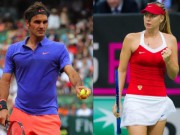 Thể thao - 2017, &quot;mùa vàng&quot; của Federer và Sharapova?