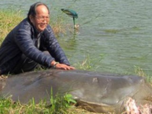 Tin tức trong ngày - Bảo quản, chế tác cụ rùa chậm hơn 1 năm so với dự kiến