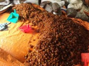 Thị trường - Tiêu dùng - Phát hiện nhiều tấn mứt bẩn ở Sài Gòn chuẩn bị bán ra thị trường