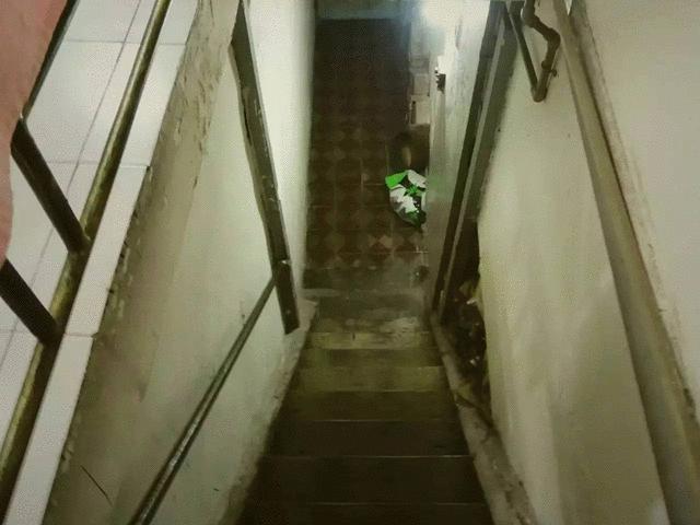 Tài chính - Bất động sản - Nhà cũ thời ông bà "lột xác" thành căn hộ sang chảnh khó cưỡng