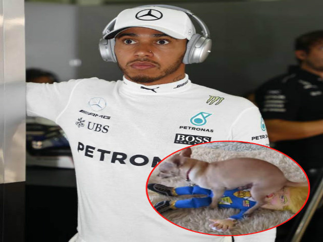 Thể thao - Đăng tải video chế nhạo Tổng thống Donald Trump, Hamilton tự chuốc họa