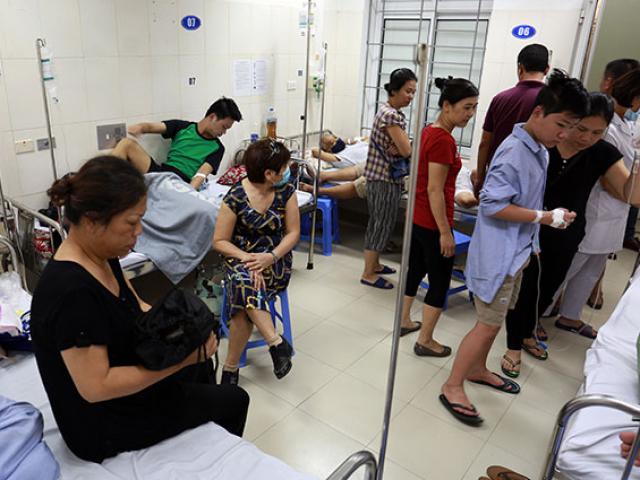 Tin tức trong ngày - Hà Nội đã khống chế được dịch sốt xuất huyết?