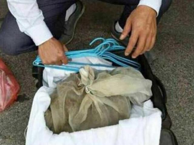 Thế giới - Phát hiện 50 rắn độc trong vali ở ga tàu Trung Quốc