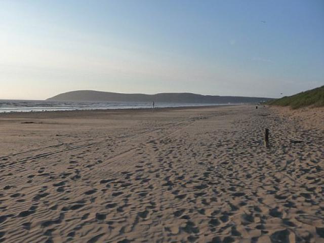 Phi thường - kỳ quặc - Thấy chó ngửi vật lạ trên bãi biển, lại gần bị "sốc toàn tập"