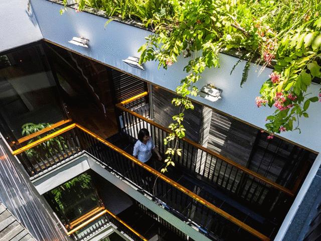 Tài chính - Bất động sản - Nhà ống 4 tầng mà đẹp như resort nhờ cây xanh mọc khắp nhà