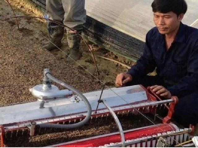 Thị trường - Tiêu dùng - Anh nông dân chế tạo robot: Bỏ lương 60 triệu ở Israel để về nước