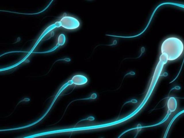 Pháp luật - Vợ đòi chồng bồi thường vì... tinh trùng yếu