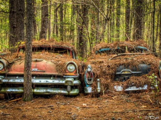 Du lịch - Lạnh gáy đột nhập nghĩa địa "xế hộp" cổ lớn nhất thế giới