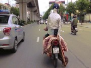 Tin tức trong ngày - Clip: Kinh hãi &quot;quái xế&quot; kẹp xác lợn phóng như bay trên phố