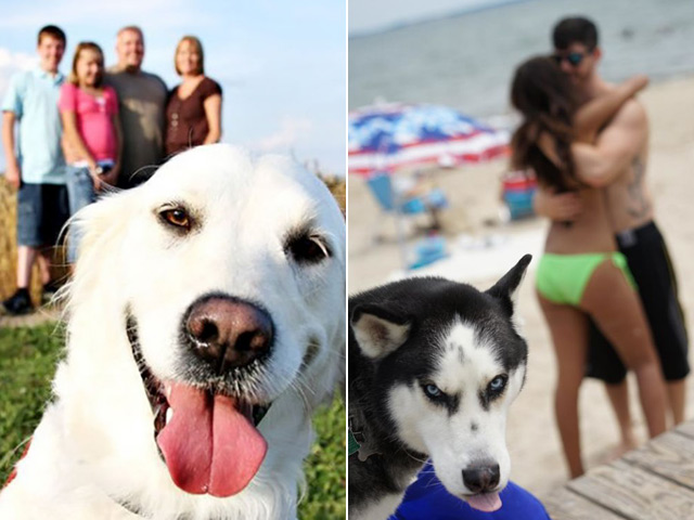 Tranh vui - Khi boss quyết phá đám không cho con sen "tự sướng"