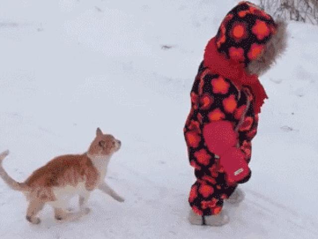 Tranh vui - Bọn này đang có âm mưu "thâu tóm" Trái Đất chăng?