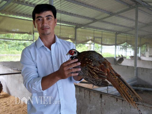 Thị trường - Tiêu dùng - "Soái ca" miệt vườn nuôi chim đặc sản, thu nửa tỷ/năm