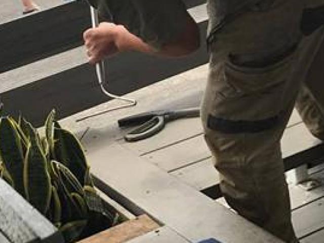 Phi thường - kỳ quặc - Tưởng khách quên đồ chơi, hóa ra là rắn kịch độc