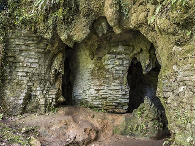 Thế giới - Điều kỳ diệu trong hang động 2 triệu năm ở New Zealand