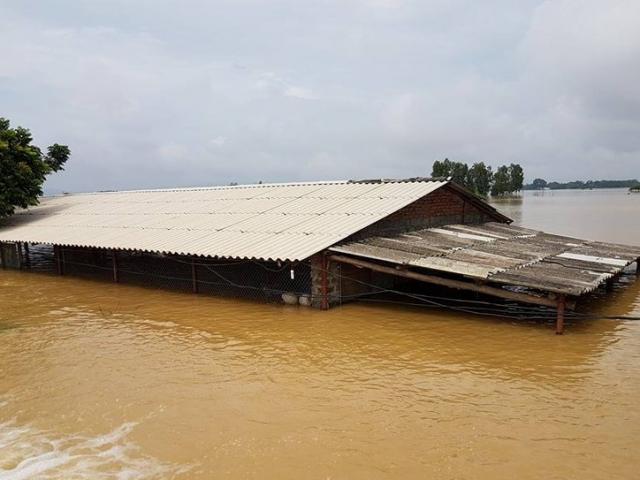 Tin tức trong ngày - Cập nhật mưa lũ: Vỡ đê ở Hà Nội, nước ngập gần tới nóc nhà