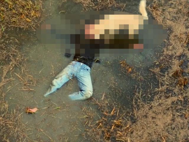 Pháp luật - Phát hiện “cẩu tặc” chết bất thường cạnh 4 con chó