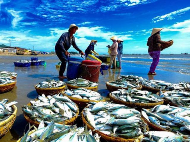 Thị trường - Tiêu dùng - Mỹ từ chối nhập hải sản không rõ nguồn gốc: Thêm khó cho ngư dân Việt