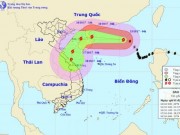 Tin tức trong ngày - Bão số 11 giật cấp 15, hướng di chuyển siêu dị