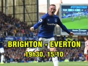 Bóng đá - Brighton – Everton: Chờ Rooney tỉnh cơn mê