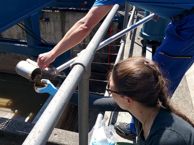 Tài chính - Bất động sản - "Mỏ vàng" trị giá 68 tỷ dưới đường cống ngầm của Thụy Sĩ