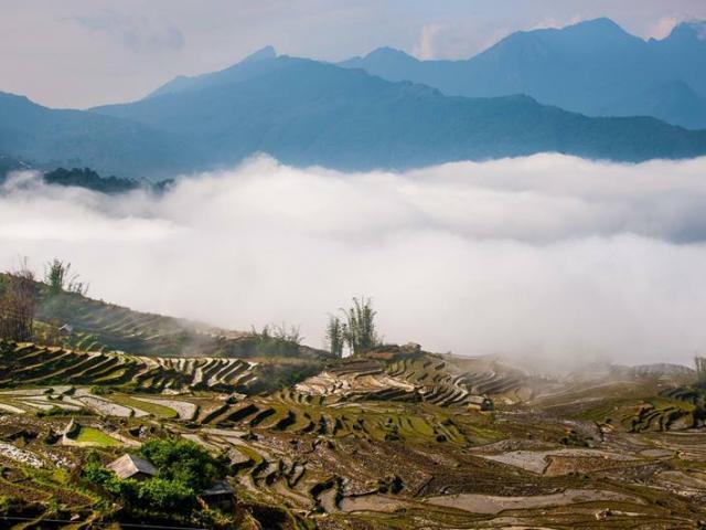 Du lịch - Vẻ đẹp ngỡ ngàng "đại dương" mây trắng trên đỉnh Tà Xùa