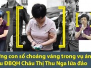 Pháp luật - Những con số choáng váng trong vụ cựu ĐBQH Châu Thị Thu Nga lừa đảo