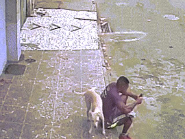 Phi thường - kỳ quặc - Đang ngồi trên vỉa hè, bị chó áp sát ghếch chân tè một bãi