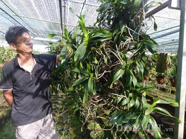 Thị trường - Tiêu dùng - U60 đút tiền tỷ/năm nhờ quan điểm độc, dị: Quyết "sống thử" với lan