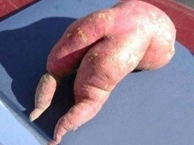 Truyện cười - Sự cố khủng khiếp của thanh niên tán gái bằng khoai