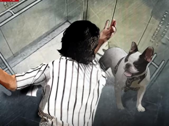 Chó cưng sao Hàn vào thang máy cắn chết người