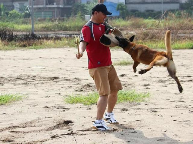 Tin tức trong ngày - Hốt bạc nghề dạy thú cưng