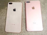 Dế sắp ra lò - Tưởng iPhone 8/ 8 Plus dễ vỡ, không ngờ &quot;nồi đồng cối đá&quot; thế này!