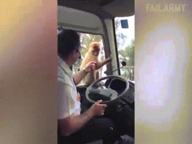 Video Clip Cười - Lộ diện những kẻ "cướp giật" trắng trợn giữa ban ngày