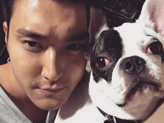 Ca nhạc - MTV - Hết vụ chó cưng cắn chết người, sao Hàn lại bị chỉ trích vì vạ miệng