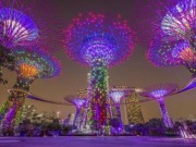 Du lịch - Cuộc sống về đêm thú vị ở Singapore