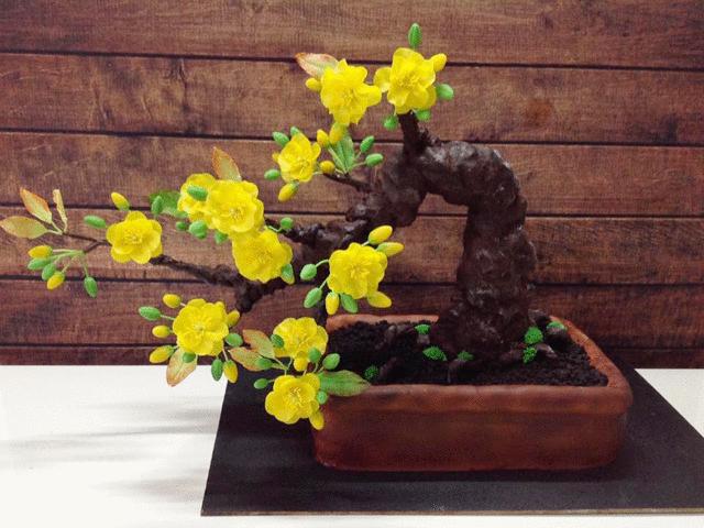 Ẩm thực - Cách làm lòng heo "bá đạo" và cây mai bonsai nóng nhất cộng đồng mạng tuần qua