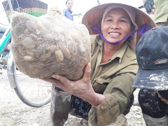 Thị trường - Tiêu dùng - Nghệ An: Kiếm tiền “dễ ợt” nhờ giá cua đồng lên "cơn sốt"