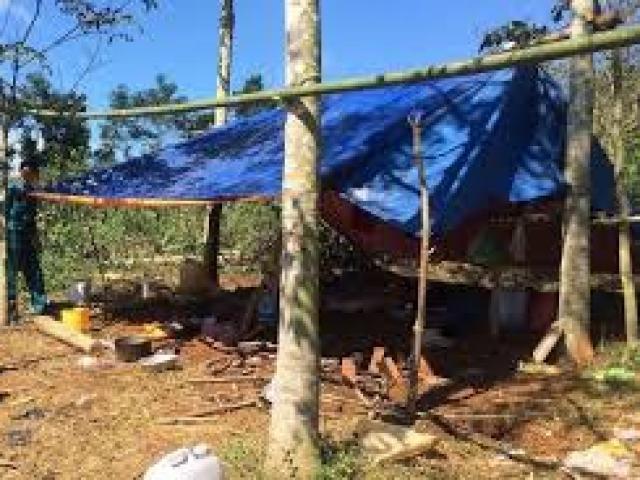 Trọng án - Điều tra vụ một thanh niên "quan hệ" nhiều lần khiến bé gái kiệt sức